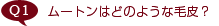 QF[g͂ǂ̂悤ȖєH